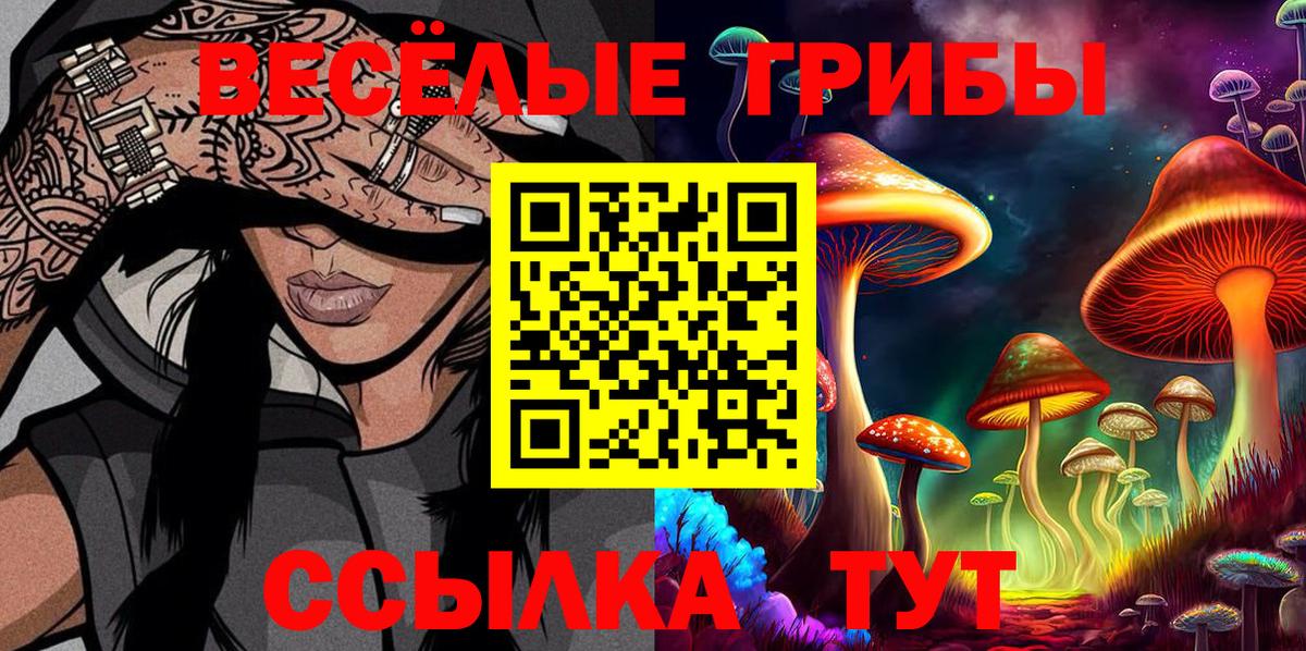 Псилоцибиновые грибы прущие грибы Тверь